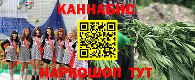 дживик Будённовск