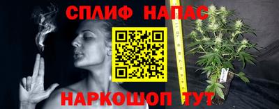 дживик Будённовск
