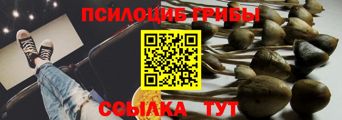 Псилоцибиновые грибы Psilocybine cubensis Рыбинск